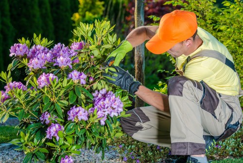 Gardeners Norwood Green creating a neat and healthy front garden