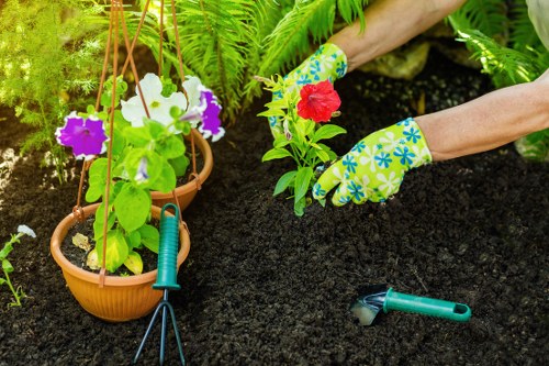 Garden waste and debris removal during Norwood Green clearance service
