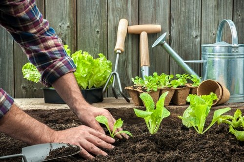 Website performance monitoring for Gardeners Norwood Green