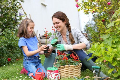 Professional garden upkeep in Norwood Green for tidy lawns and pathways