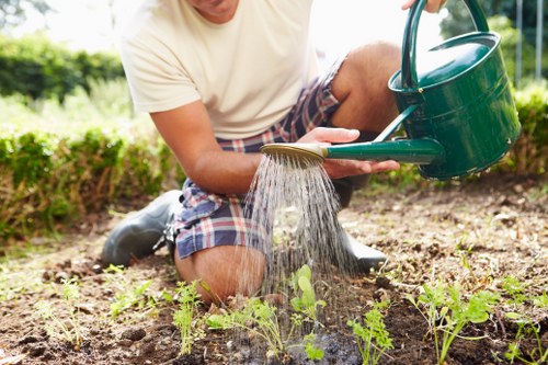 Professional gardening services in Norwood Green for tidy outdoor spaces