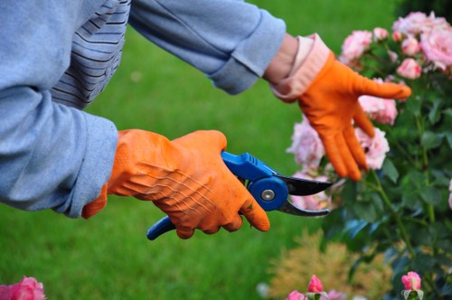 Image placeholder for accessibility support and local gardening access
