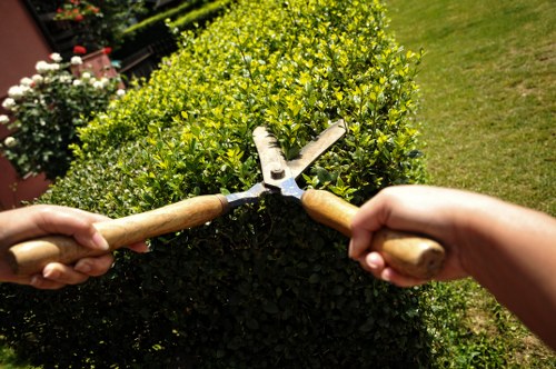 Seasonal garden maintenance in Norwood Green with leaf clearing and pruning