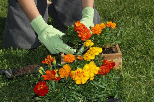 Seasonal garden maintenance in Norwood Green with healthy planting