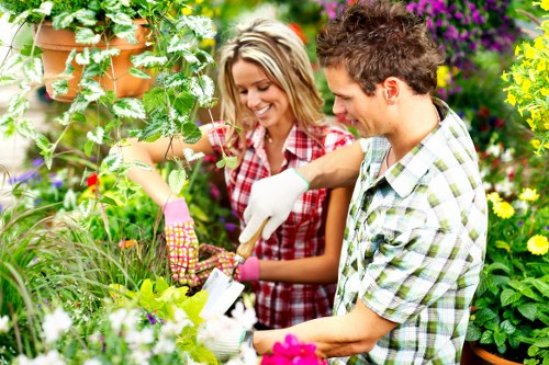 Professional garden restoration and planting in Norwood Green