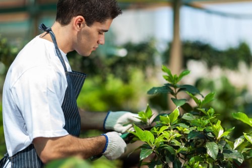 Seasonal garden care and pruning work in Norwood Green