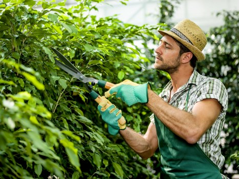 Cancellation and responsibility terms for gardening work
