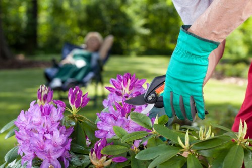 Aeration and lawn improvement services in Norwood Green