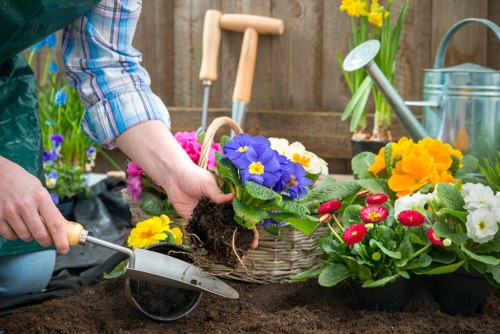 Experienced Gardeners Norwood Green shaping a tidy landscape