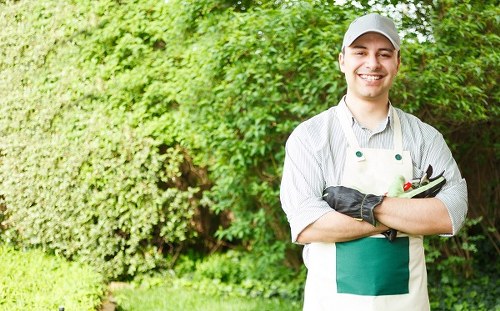 A gardening service concern being recorded for assessment