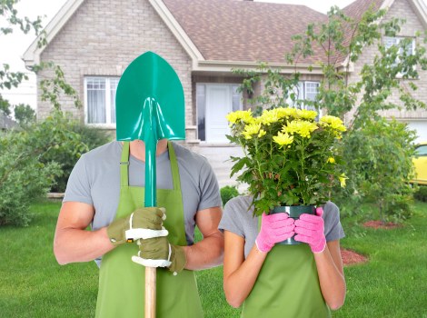 Hedge trimming and border care for garden maintenance in Norwood Green