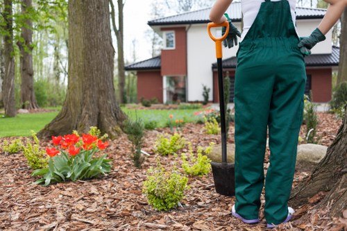 Seasonal garden maintenance by gardeners in Norwood Green