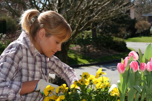 Regular garden care and landscaping support in Norwood Green