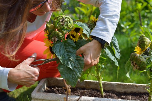 Local Norwood Green gardening services for beautiful outdoor spaces