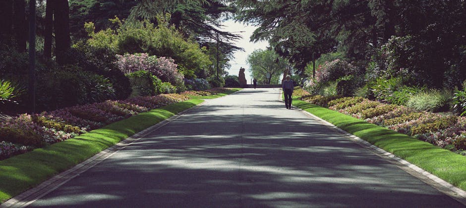 A straight gravel pathway in a landscaped garden, flanked by neatly trimmed grass lawns and a row of evenly spaced tall, slender cypress trees on each side. The pathway leads to a decorative stone ped